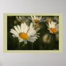 Search for mousepad art Nature