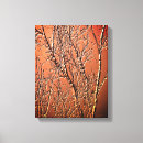 Search for bare tree canvas prints Nature