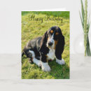 Search for basset hound cards Pet