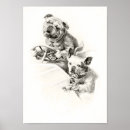 Search for old dog photos posters Dogs