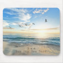 Search for sea mouse mats Ocean