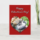 Search for english bulldog valentines day cards Dogs