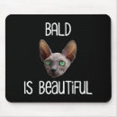 Search for hairless mouse mats Sphynx