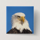 Search for alaska eagle badges Homer