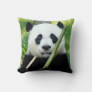 Search for giant panda cushions Animal photography
