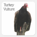 Search for scavenger stickers Buzzard