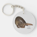 Search for pangolin key rings Animals