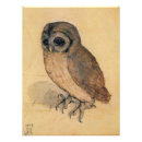 Search for plumage posters Animals