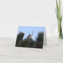 Search for courtship cards invites Courting