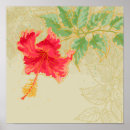 Search for vintage wallpaper posters Botanical