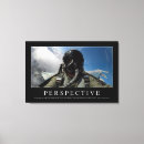 Search for perspective photography Motivation