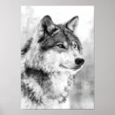 Search for white wolf posters Rustic