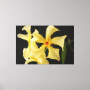 Search for jasmine flowers art Green