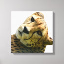 Search for leopard print gifts Jungle