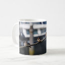 Search for barn swallow mugs Nature
