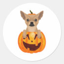 Search for thanksgiving dog stickers Chihuahua