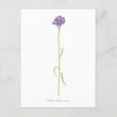 Search for cornflower postcards Floral