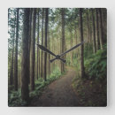 Search for mountain clocks Forest