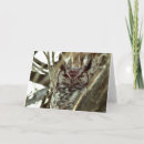 Search for owl blank cards Brown