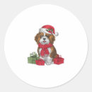 Search for havanese puppies stickers Weimaraner
