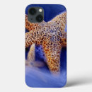 Search for colourful ocean waves electronics Sea life