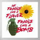 Search for fragile posters Funny