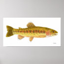 Search for rainbow trout art Fly