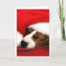 Search for hound christmas cards Beagle