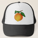 Search for juicy hats Illustration