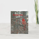 Search for redhead cards Birds