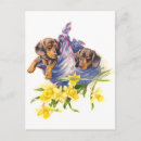 Search for dachshund mothers day cards Pet