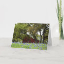 Search for spring landscape cards Wildflowers