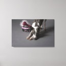 Search for studios art Grey