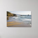 Search for pacific canvas prints Park