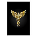 Search for caduceus posters Doctor