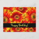 Search for orange flower happy birthday postcards Daisy