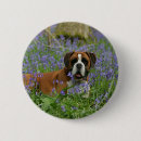 Search for lay badges Canine photographer