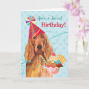 Search for irish setter cards Puppy