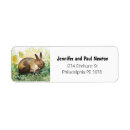 Search for pet rabbit return address labels Brown
