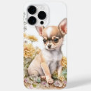 Search for chihuahua cases White