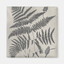 Search for fern magnets Leaf