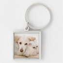 Search for studio shot key rings Looking at camera