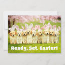 Search for funny easter invitations Cute animal