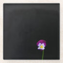 Search for violet coasters Black