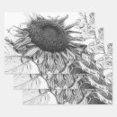 Search for black and white floral wrapping paper Botanical