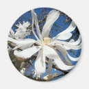 Search for white blossoms magnets Magnolias