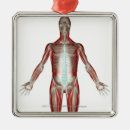 Search for muscle christmas tree decorations Vertical