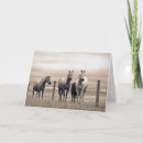 Search for muddy cards Horse