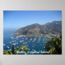 Search for avalon posters Catalina island