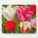 Search for assorted colours mouse mats Bright